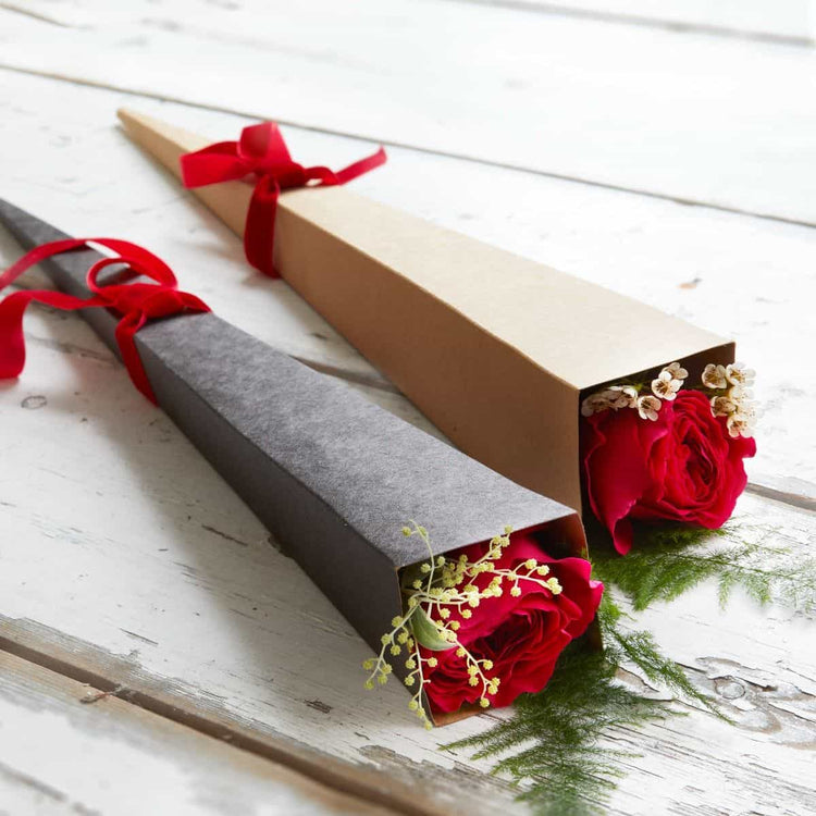 Valentine's Day Collection
