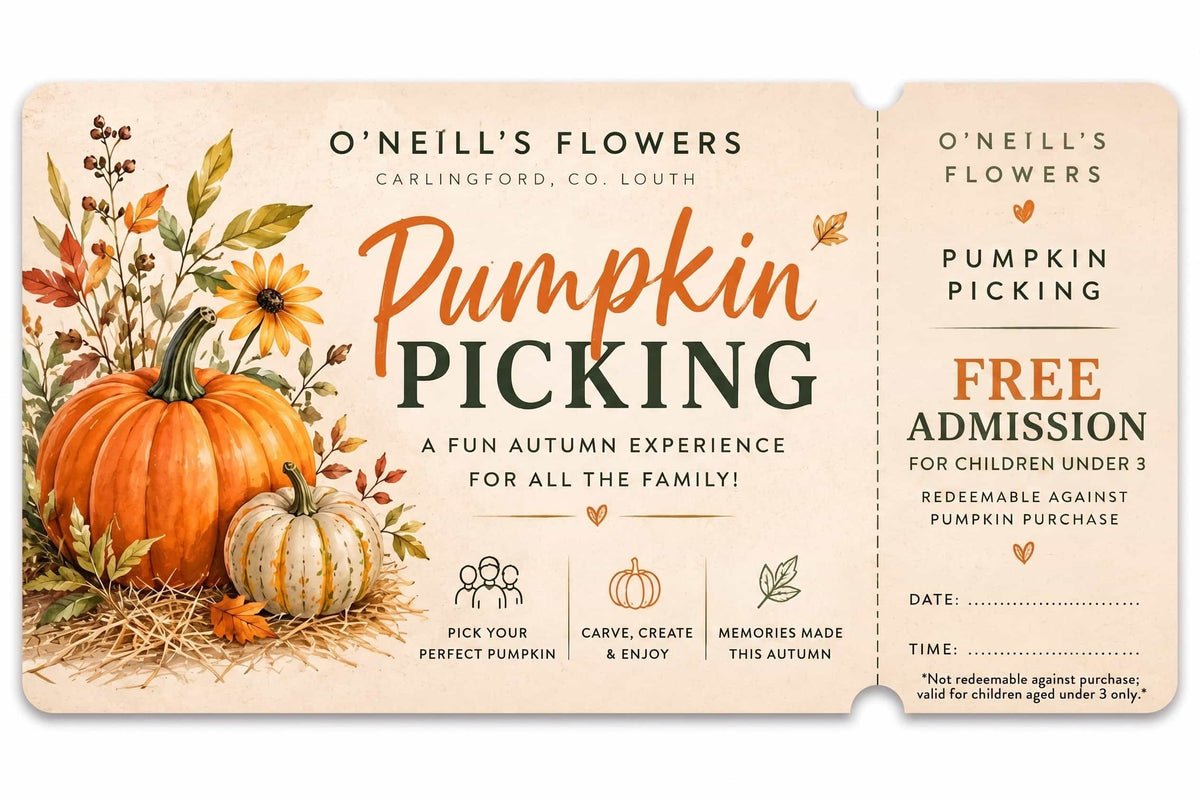 Pumpkin Picking 17th Oct 2026