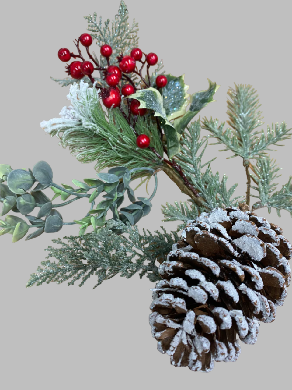 Christmas Pics