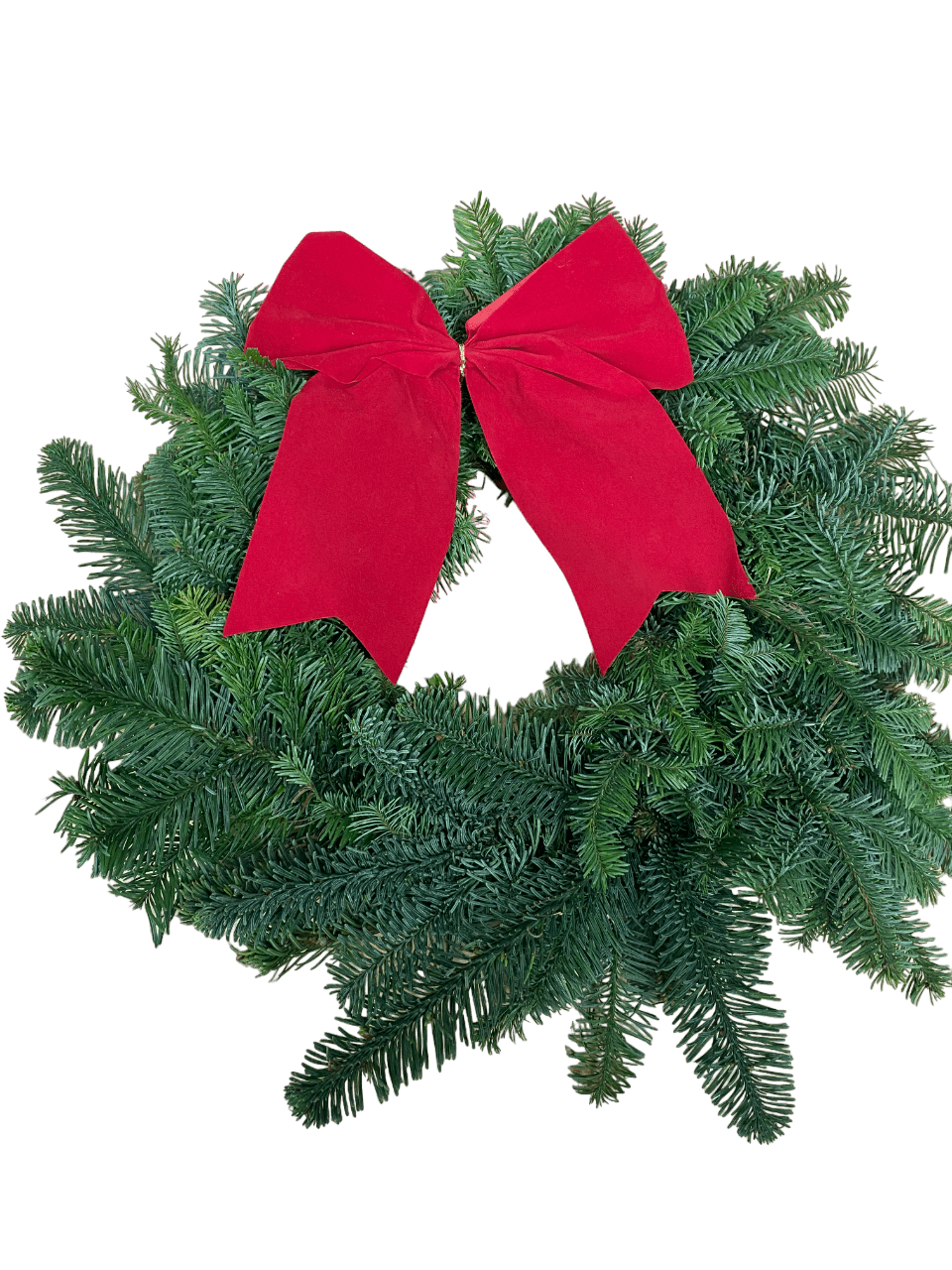 Velvet Bows Pack of 20