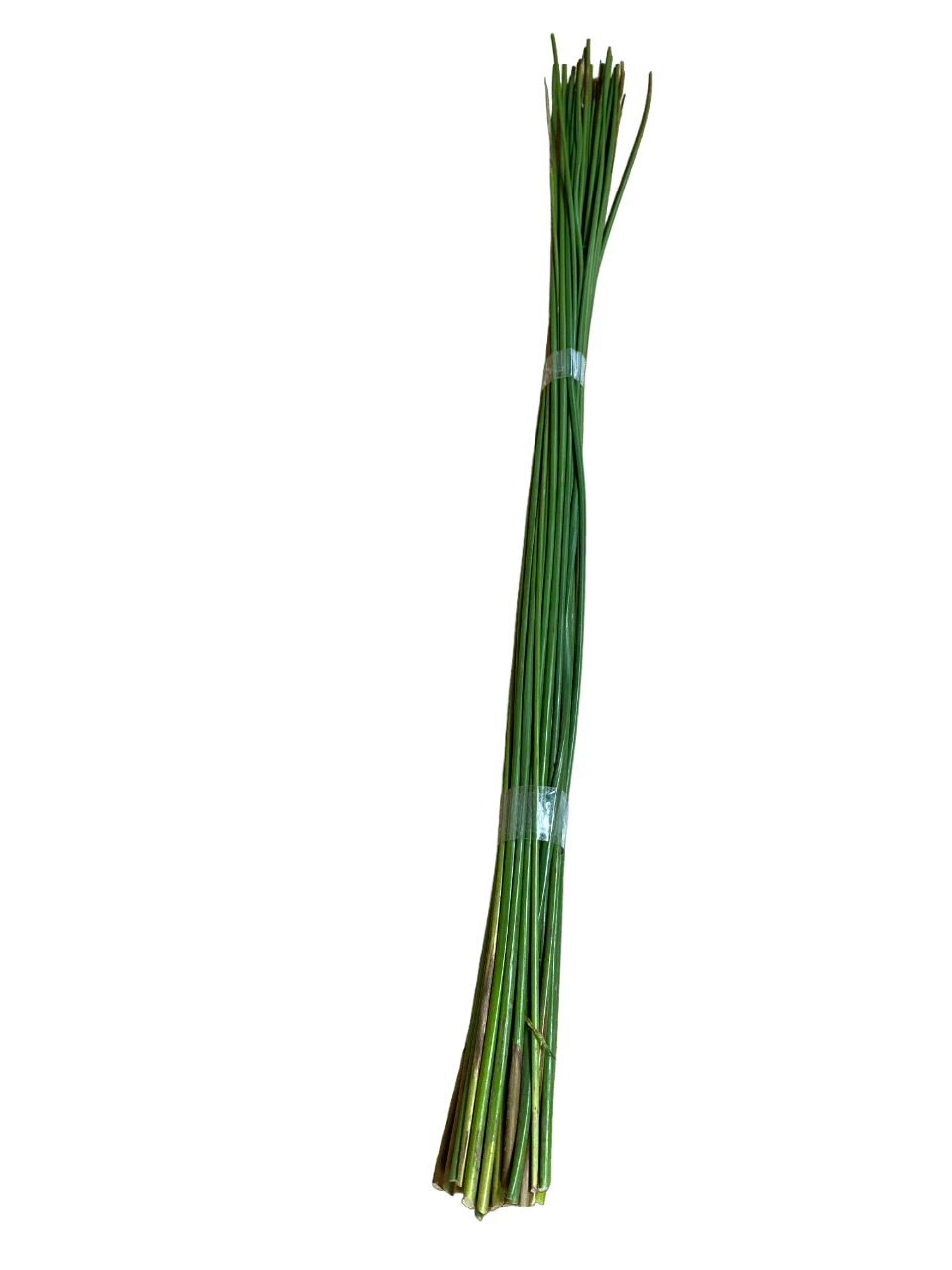 Rushes for St.Brigid's Day