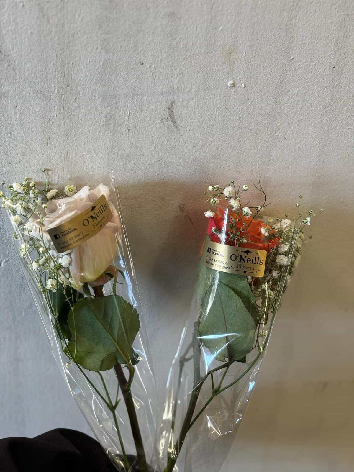 Single Rose