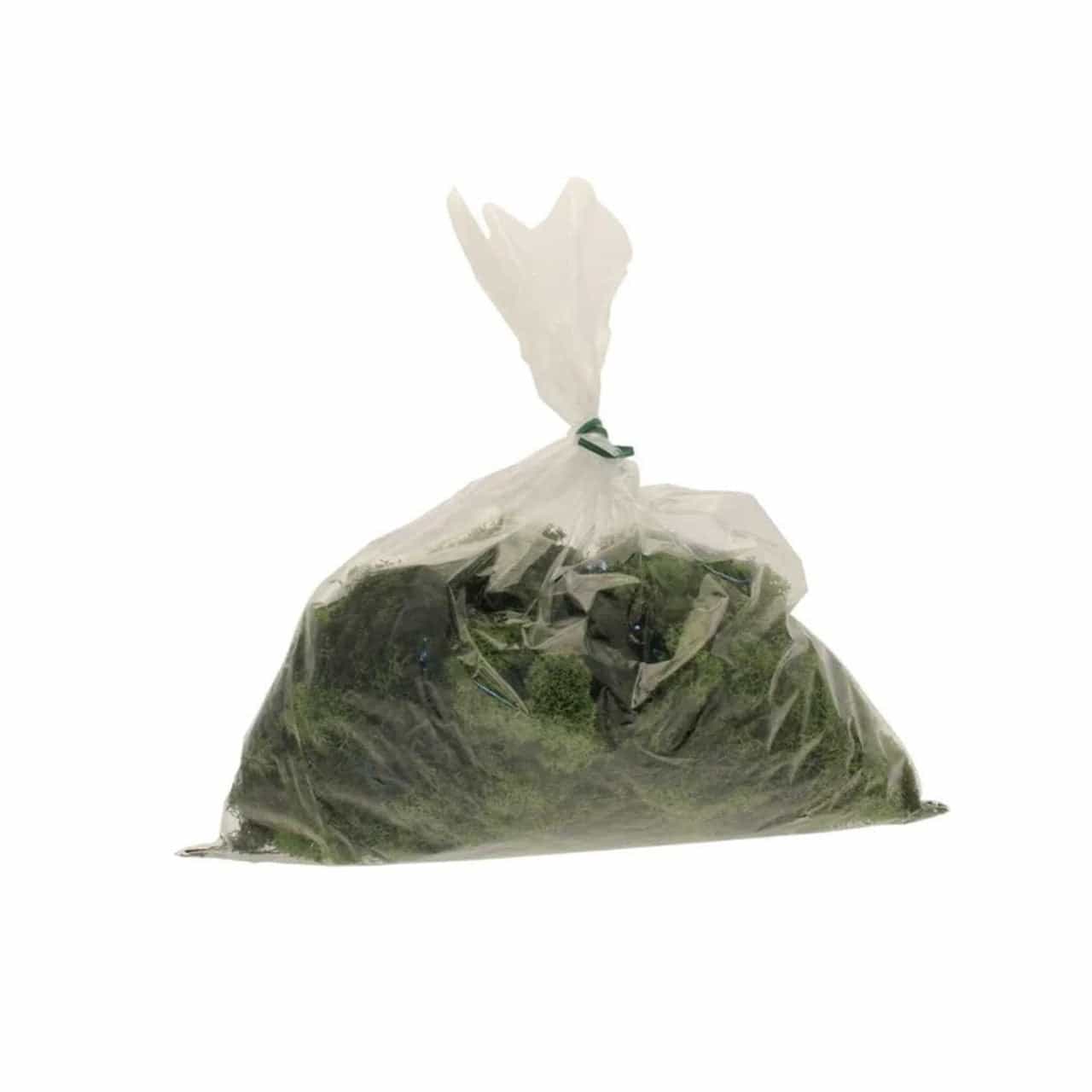 500g Olive Green Finland Moss