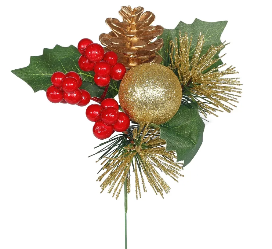 Christmas Pics