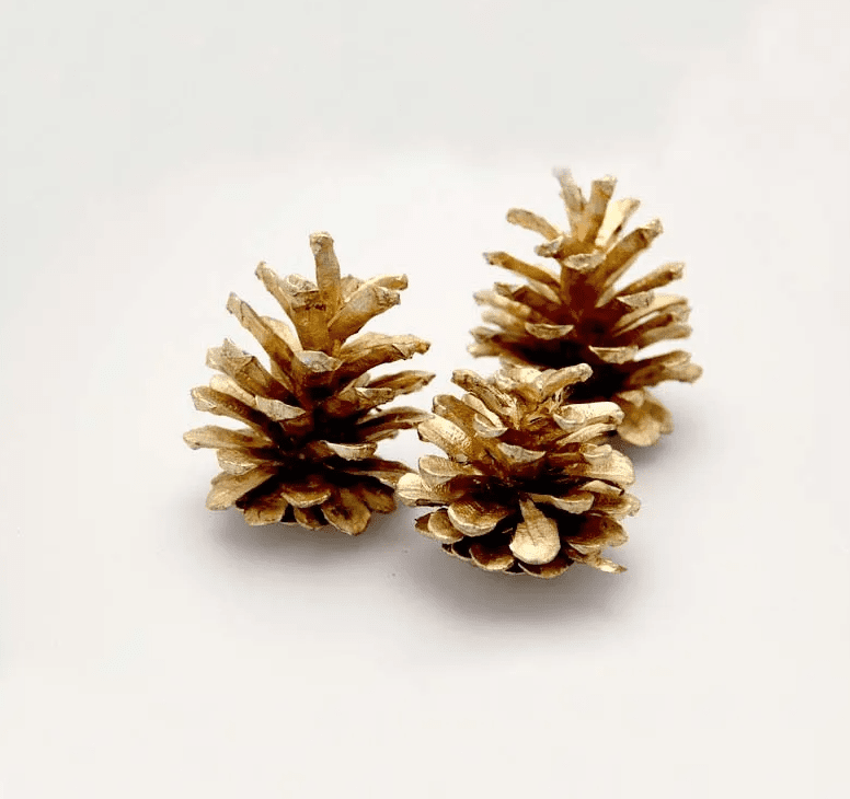 Bags of Pine Cones