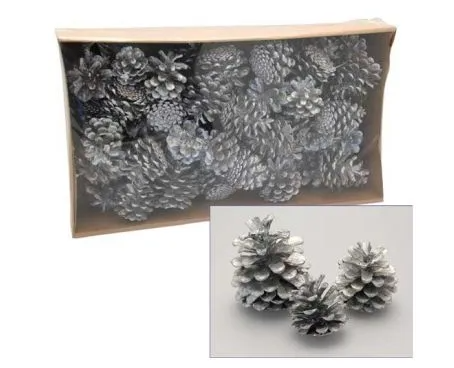 Bags of Pine Cones