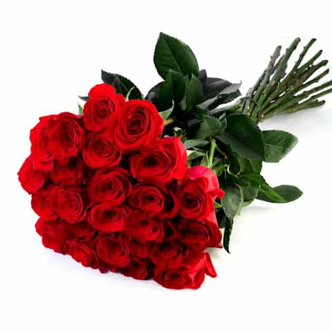 Two Dozen Red Rose Bouquet