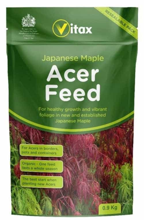 Acer Feed