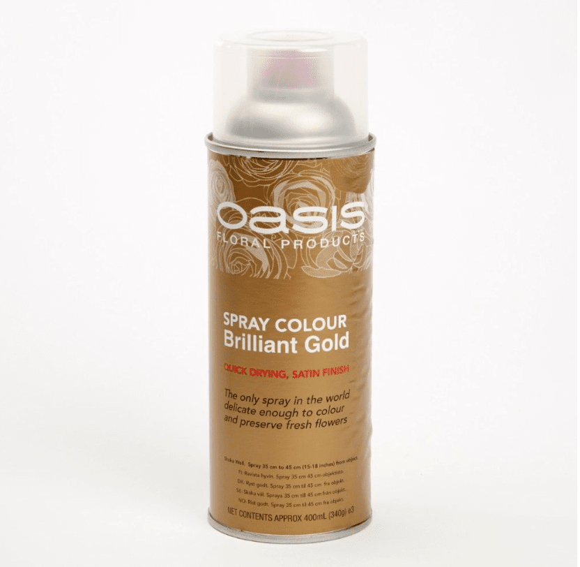Spray Paint Assorted Colours
