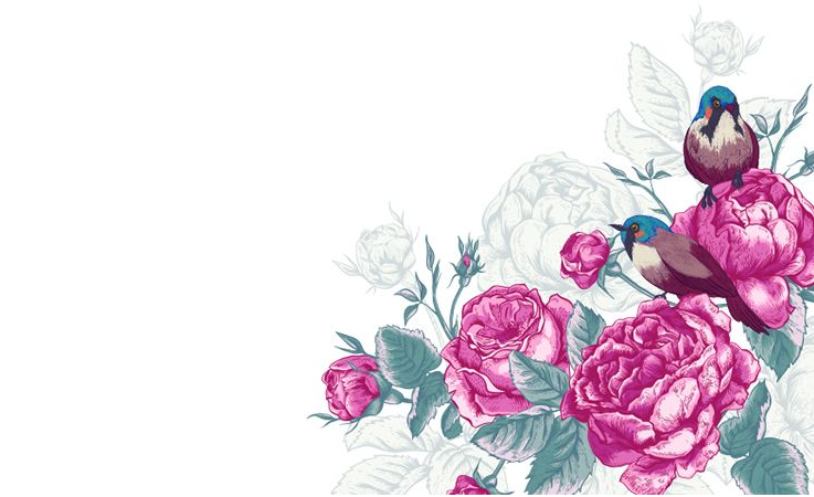 Message Cards (Various Styles)