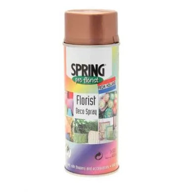 Florist Spray Paint Assorted Colours