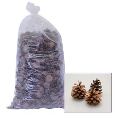 Bags of Pine Cones