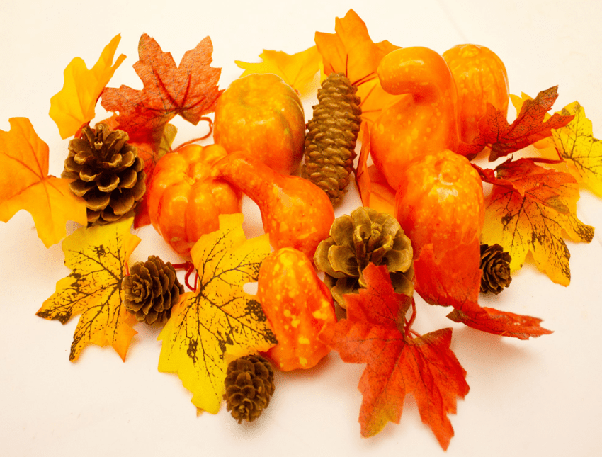 Autumn Artificial Picks