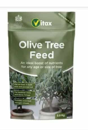 Olive Tree Feed