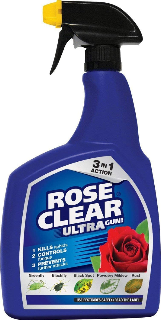 Rose Clear