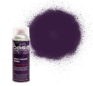 Spray Paint Assorted Colours