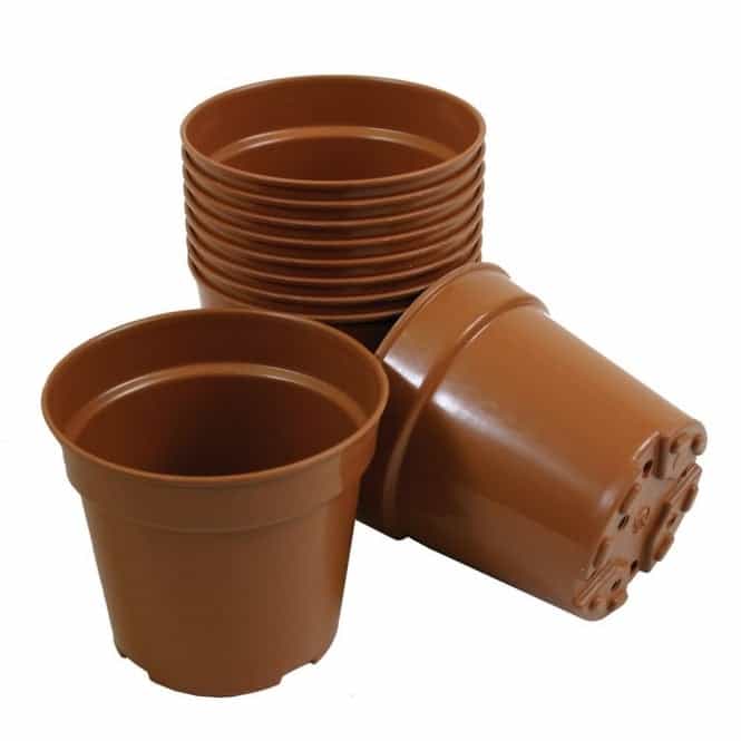 Seed trays and Growing Pots