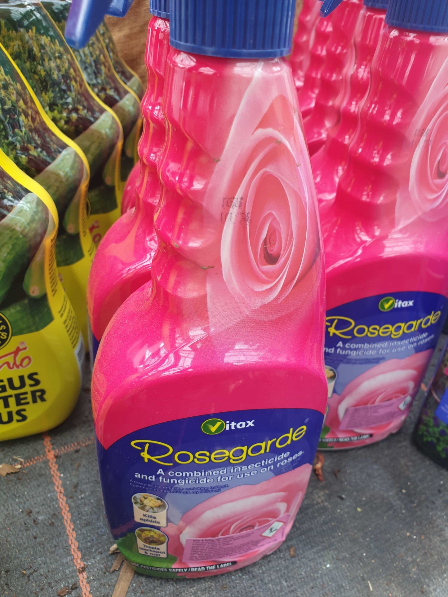 Rosegarde