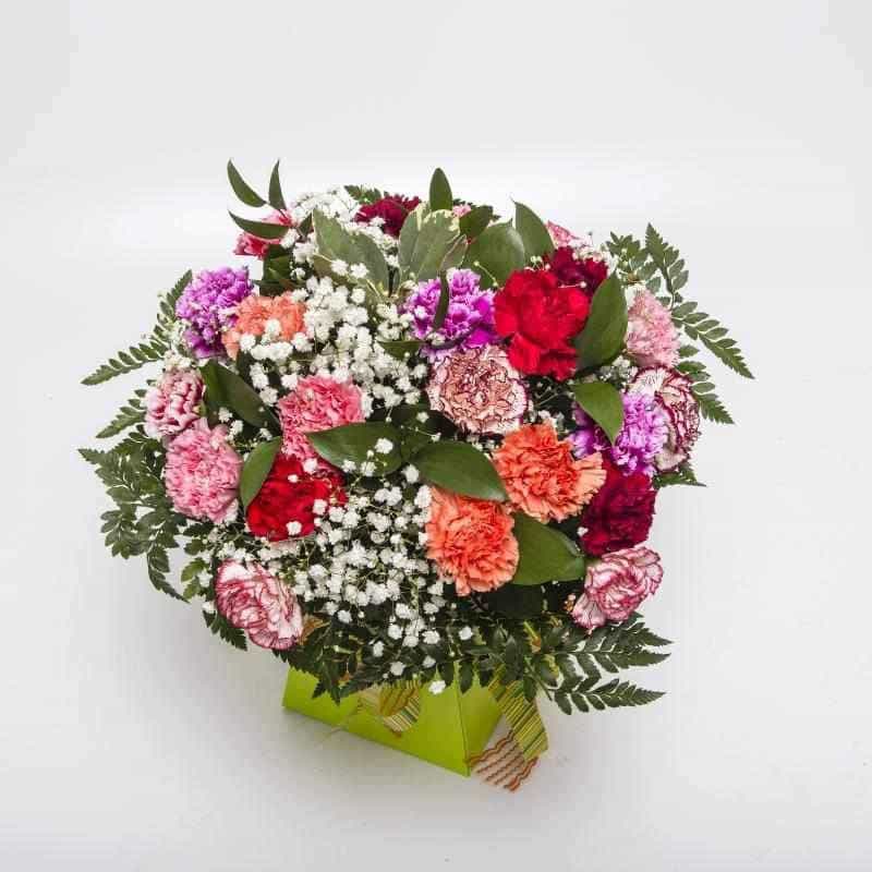 Mixed Carnation Bouquet