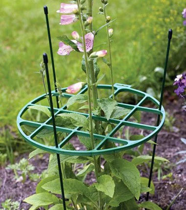 Plant supporting ring 30cm