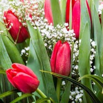 Romantic Tulip Bouquet
