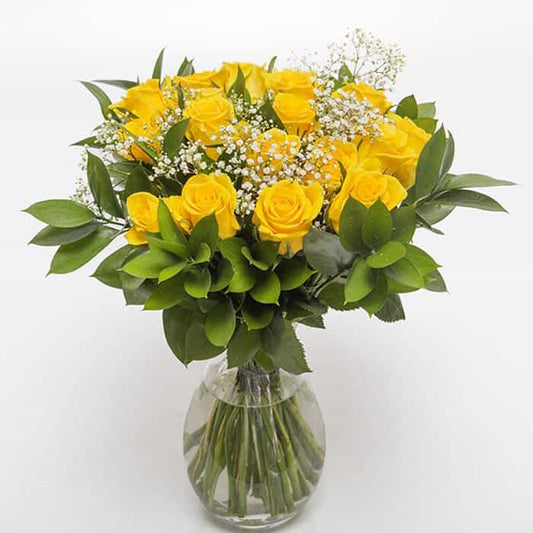 <p>Sending a dozen Roses says it all! Express just how you feel to someone special with one dozen roses! Expertly blended by our expert florists with Gypsophila and tropical foliage.</p>