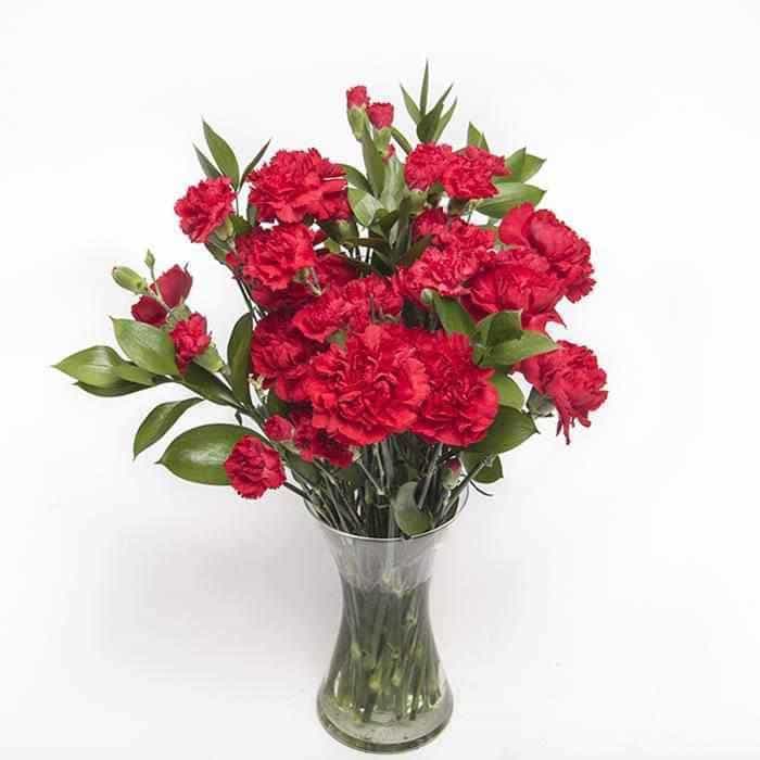 <p>A tasteful blend of over two dozon stems of Standard and Baby Carnations in red expertly hand-tied with tropical Greenery.</p><p>This beautifully simple arrangement is guaranteed to last and is sure to impress! </p>