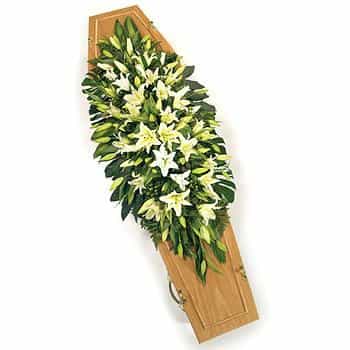 Lily Coffin Spray
