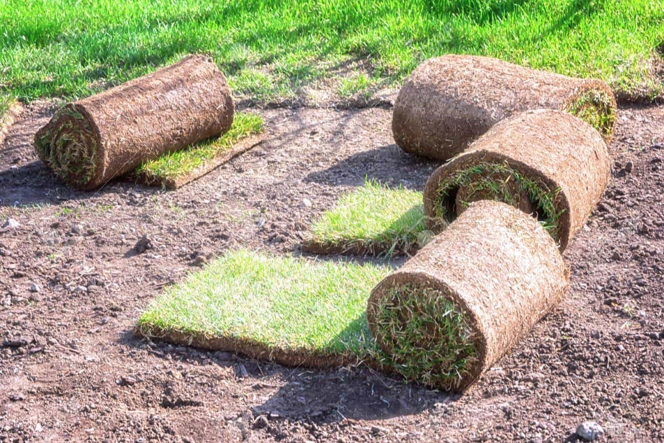 Rolls of Grass - Instant Lawn