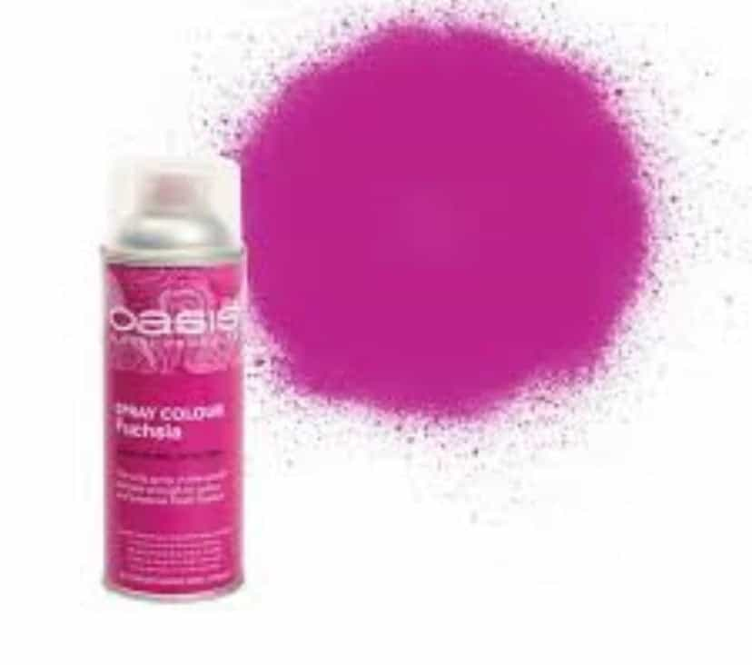 Florist Spray Paint Assorted Colours