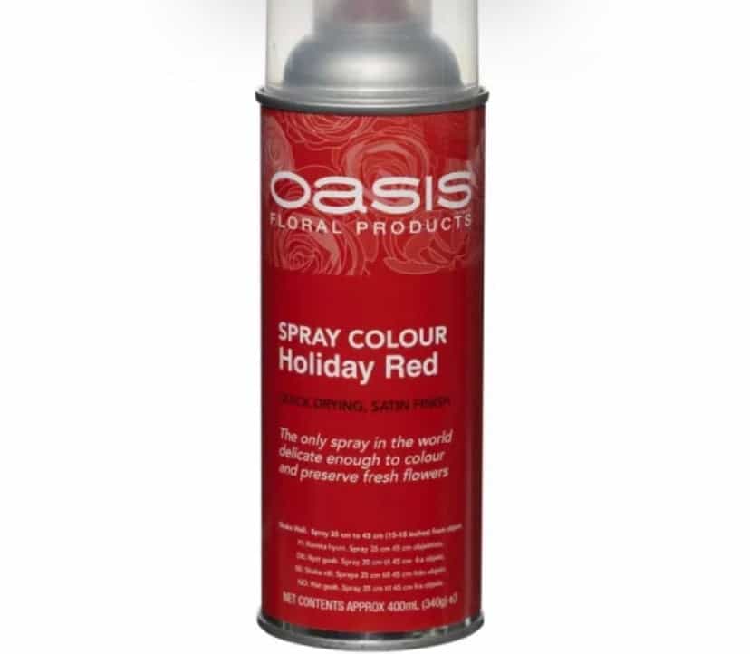 Spray Paint Assorted Colours
