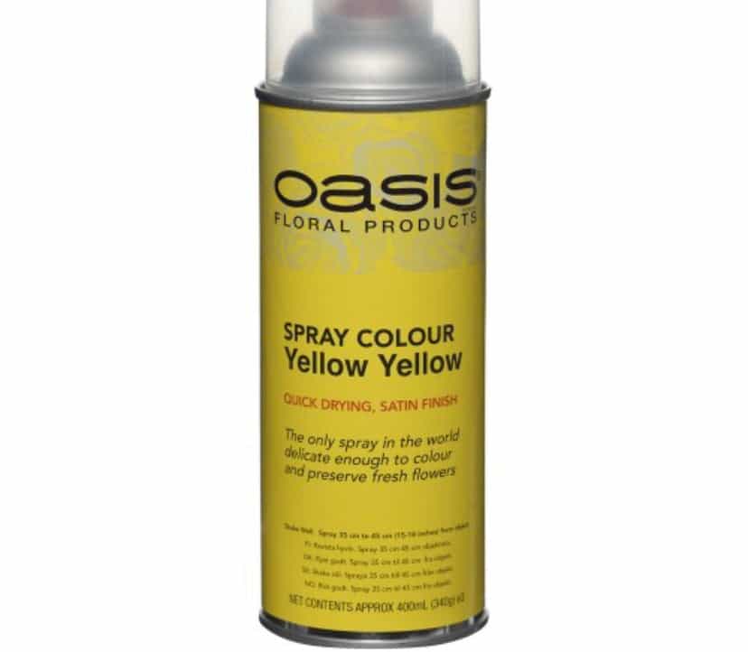 Spray Paint Assorted Colours
