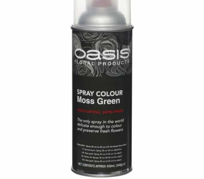 Spray Paint Assorted Colours