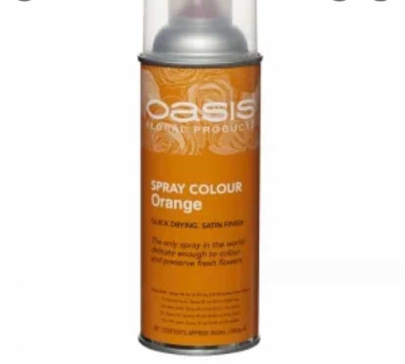 Spray Paint Assorted Colours