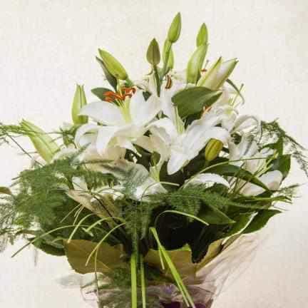 Luxury Lilies