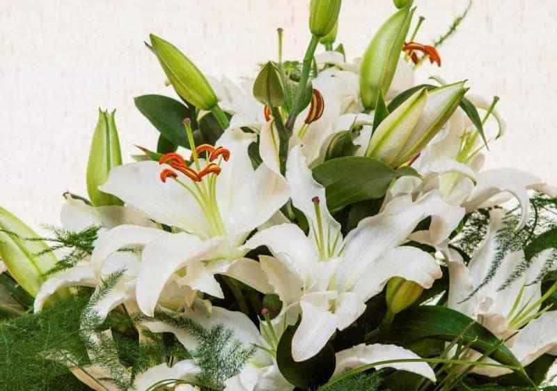 Luxury Lilies