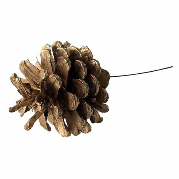 Bags of Pine Cones