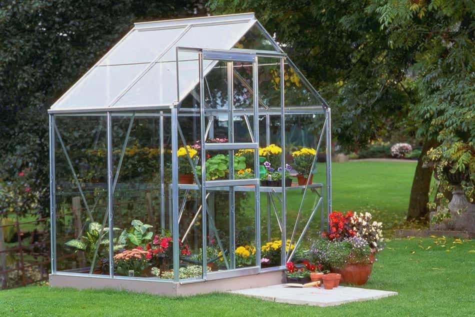 Popular Greenhouse