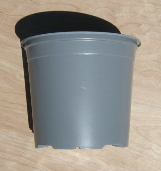 Plastic Growing Containers - Various Sizes