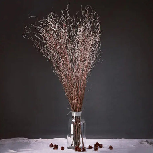 Contorted Willow