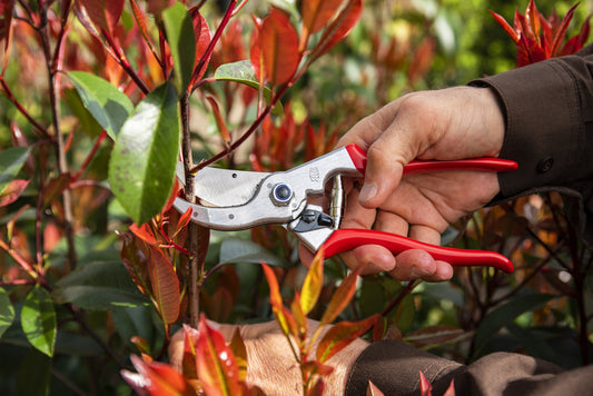 Felco Secateurs No. 4