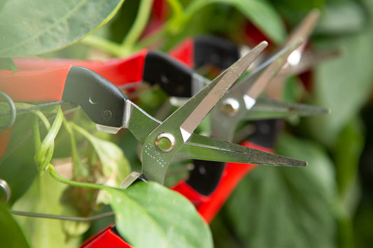 Felco Harvesting Curved Shears No. 320