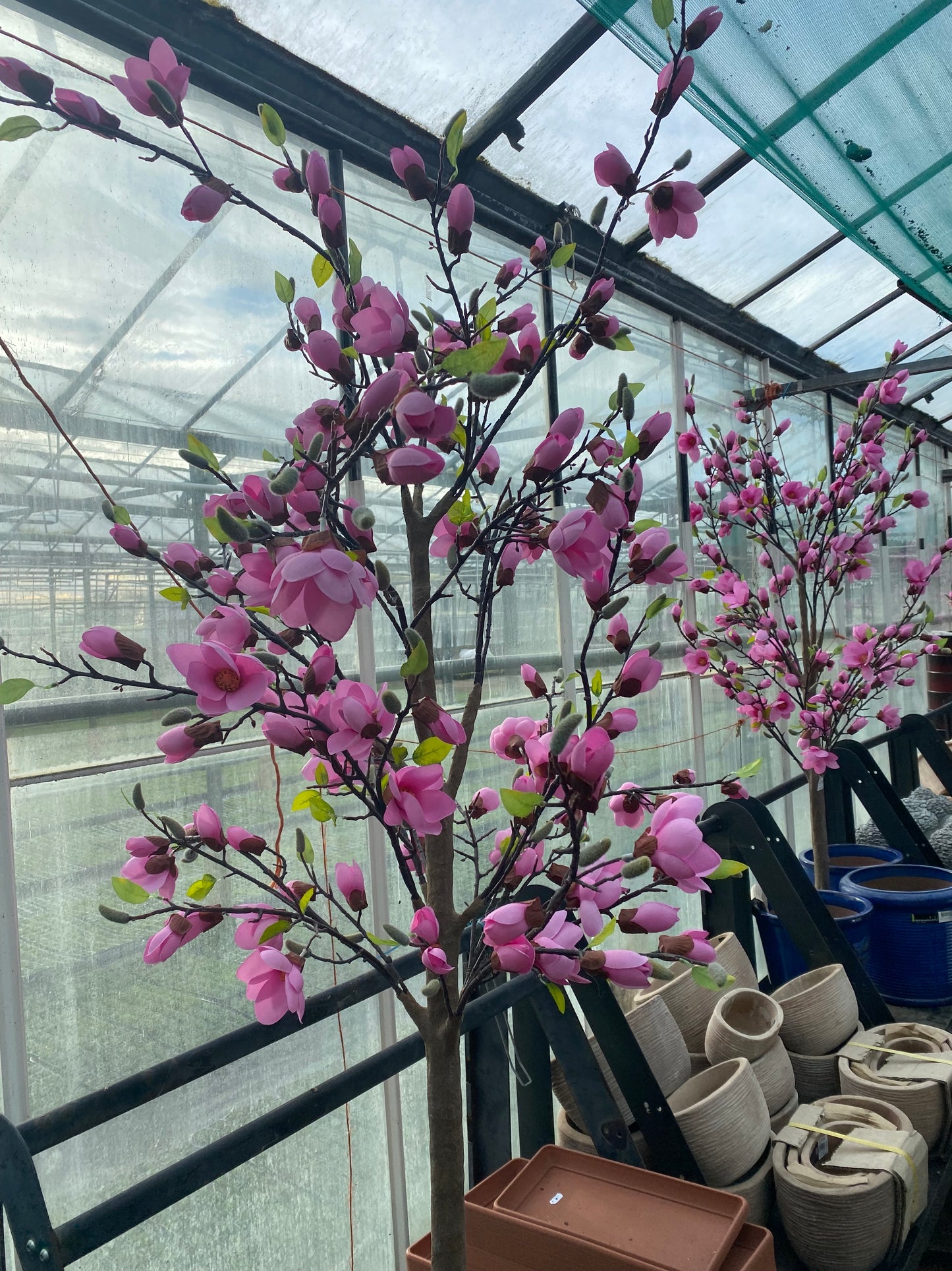 Pink Magnolia Tree 205cm - Artifical