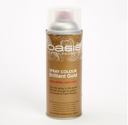 Spray Paint Assorted Colours
