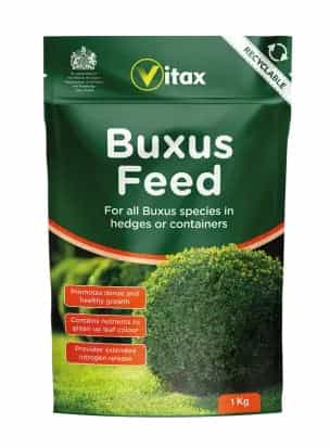 Buxus Feed Liquid