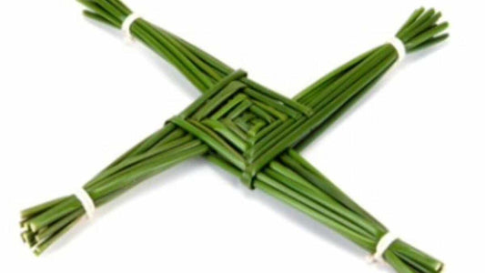 Rushes for St.Brigid's Day