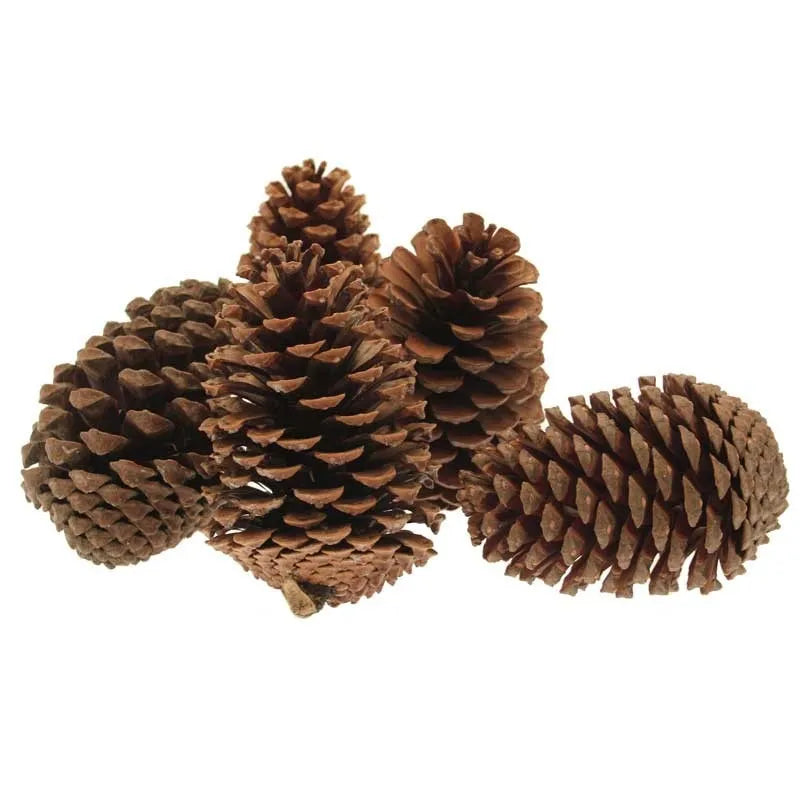 Bags of Pine Cones