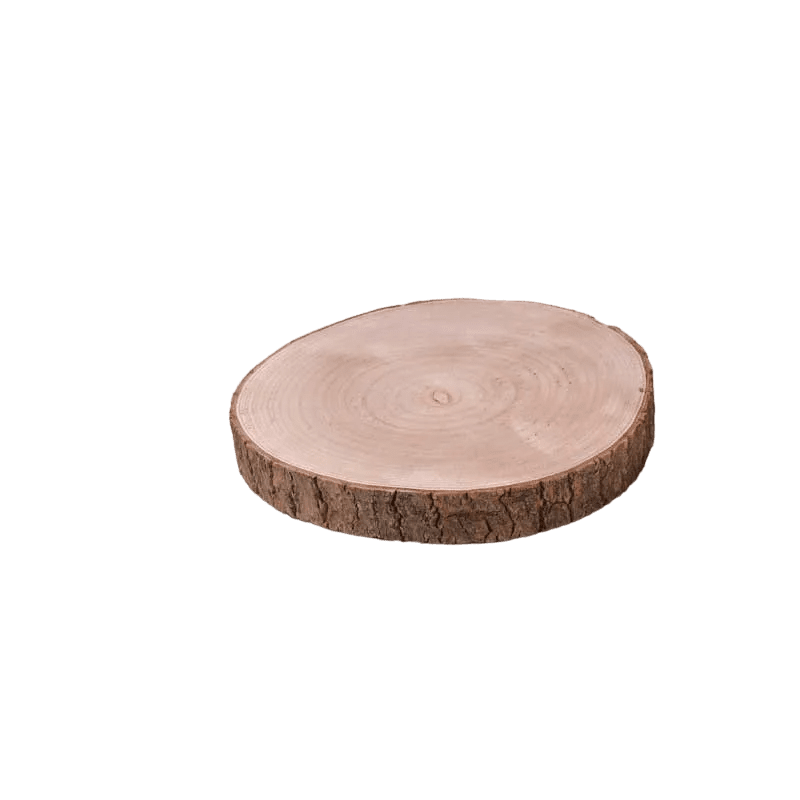 Wood Slice 20 to 24cm (x3cm)