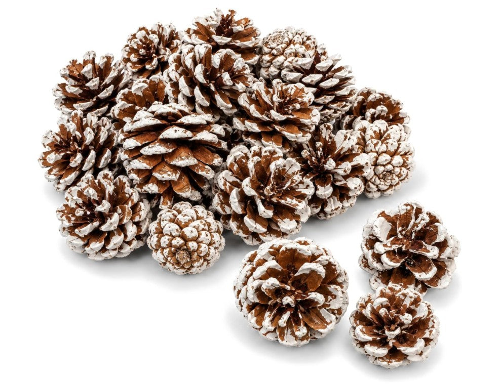 Bags of Pine Cones