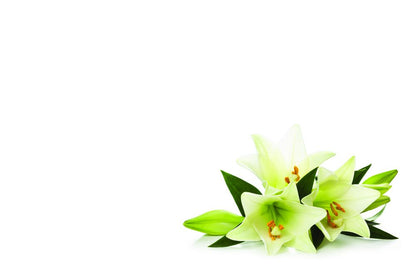 Message Cards (Various Styles)
